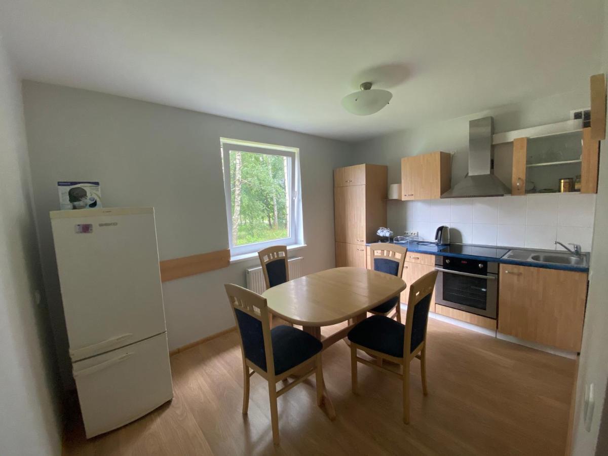 Butas Senamiestyje Apartment ดรูซกินินไก ภายนอก รูปภาพ